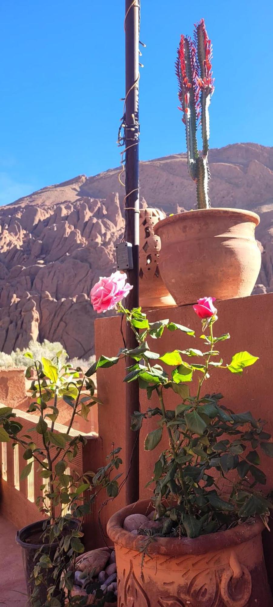 Tafsut Dades Guesthouse Stay With Locals Tamellalt  Esterno foto