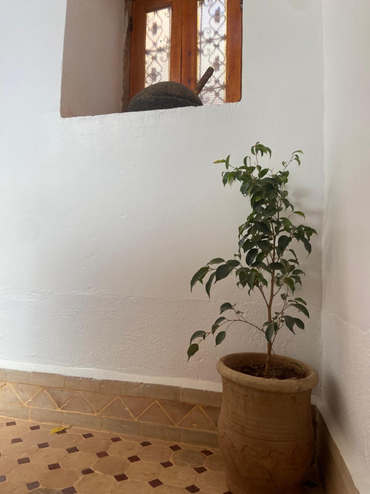 Tafsut Dades Guesthouse Stay With Locals Tamellalt  Esterno foto